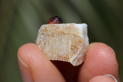 Spessartine Garnet on Feldspar