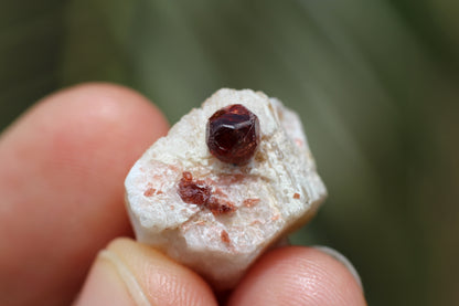 Spessartine Garnet on Feldspar