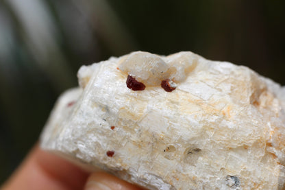 Etched Spessartine Garnet on Feldspar