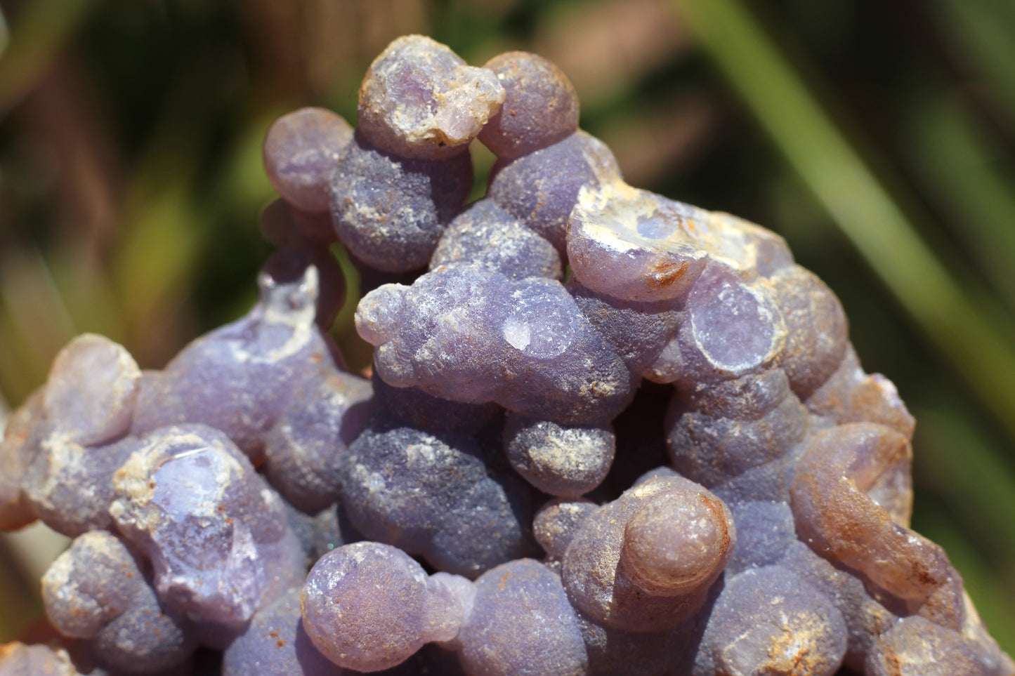 Grape Agate