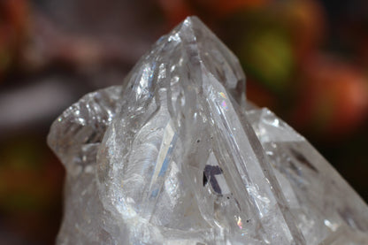 Skeletal Elestial Enhydro Quartz