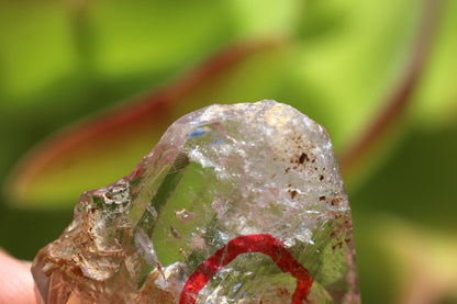 Enhydro Quartz