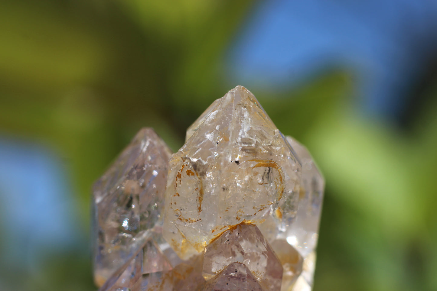 Multi Enhydro Multi Quartz Cluster