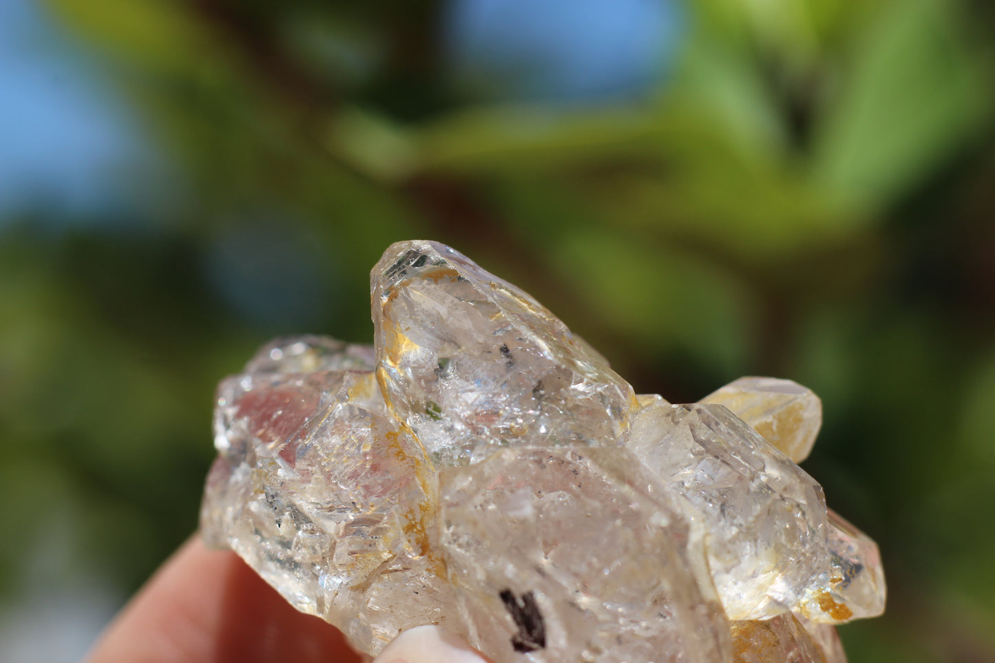 Multi Enhydro Multi Quartz Cluster