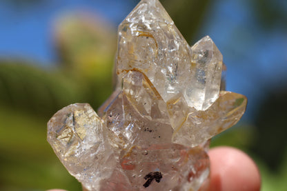 Multi Enhydro Multi Quartz Cluster