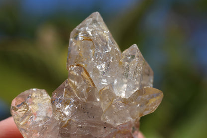 Multi Enhydro Multi Quartz Cluster