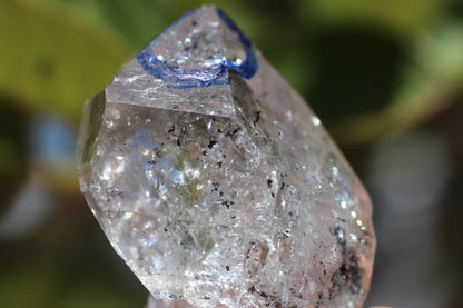 Enhydro Quartz, Double Terminated