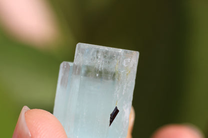 Aquamarine w/ Black Tourmaline