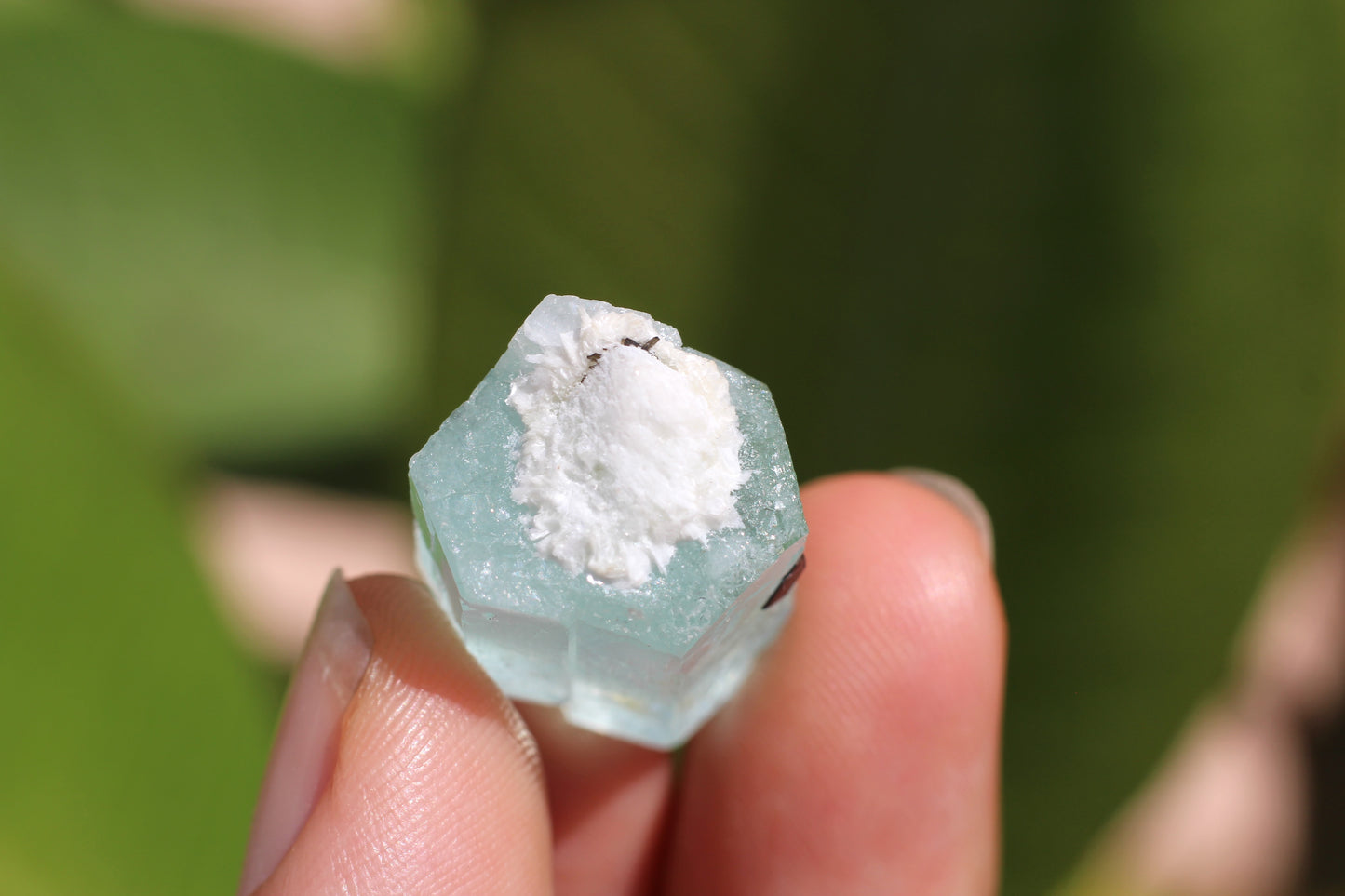 Aquamarine w/ Black Tourmaline