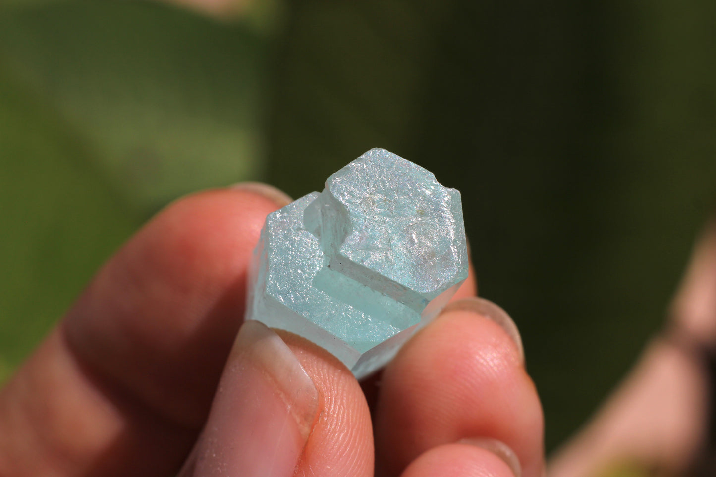 Aquamarine w/ Black Tourmaline