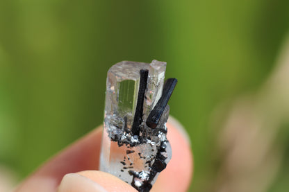 Aquamarine w/ Black Tourmaline