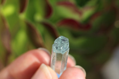 Aquamarine