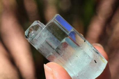 Aquamarine w/ Black Tourmaline Inclusions