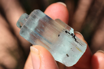 Aquamarine w/ Black Tourmaline Inclusions