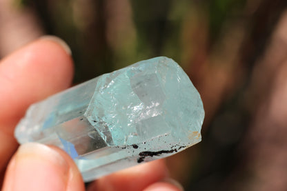 Aquamarine w/ Black Tourmaline Inclusions