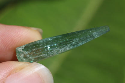 Dogtooth Green Aquamarine