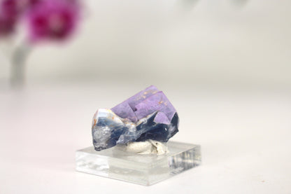 Porcelain Fluorite