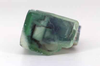 Aquarium Phantom Fluorite