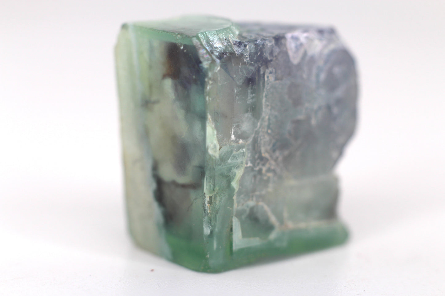 Aquarium Phantom Fluorite