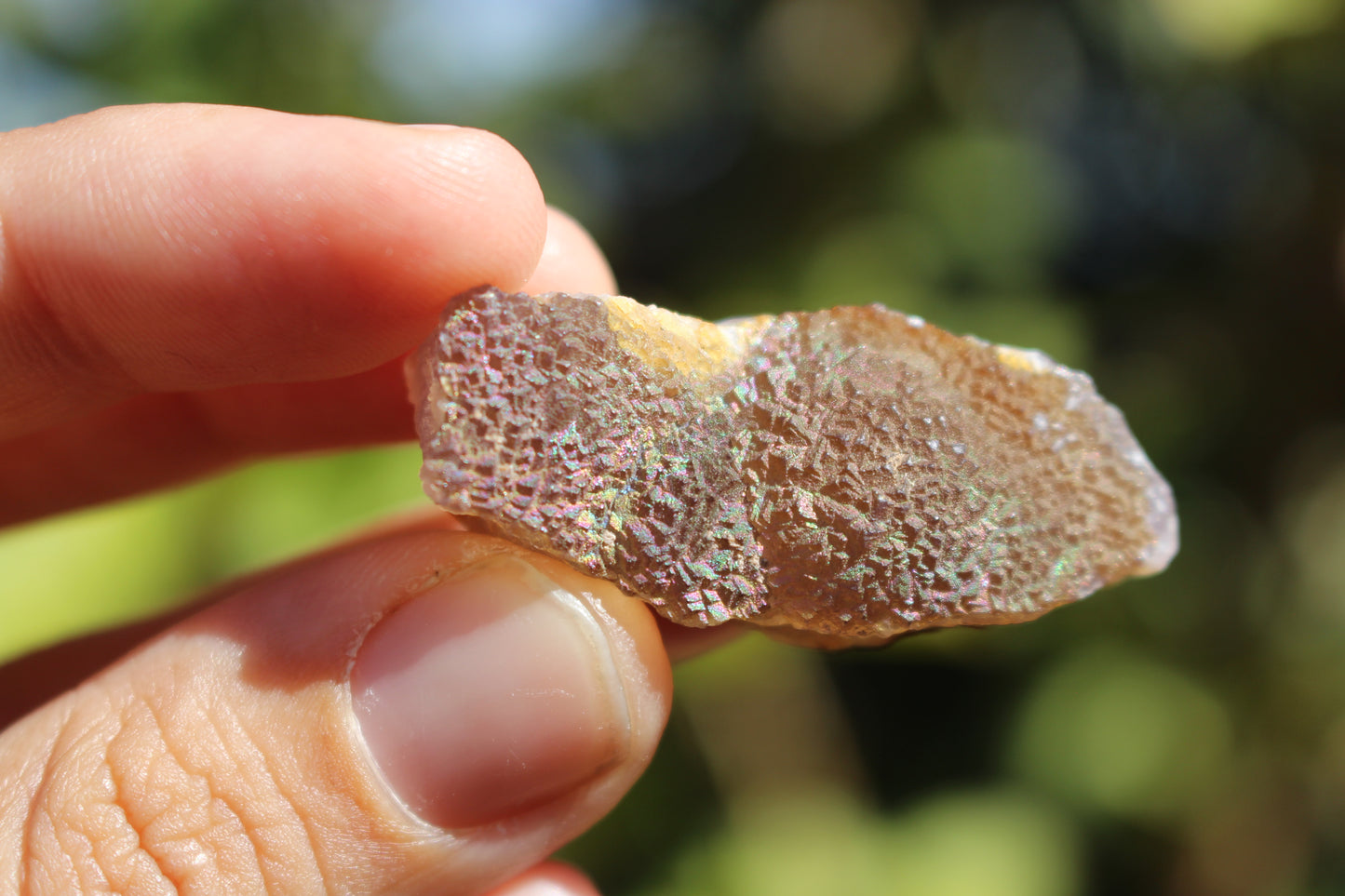 Purple Iridescent Fluorite