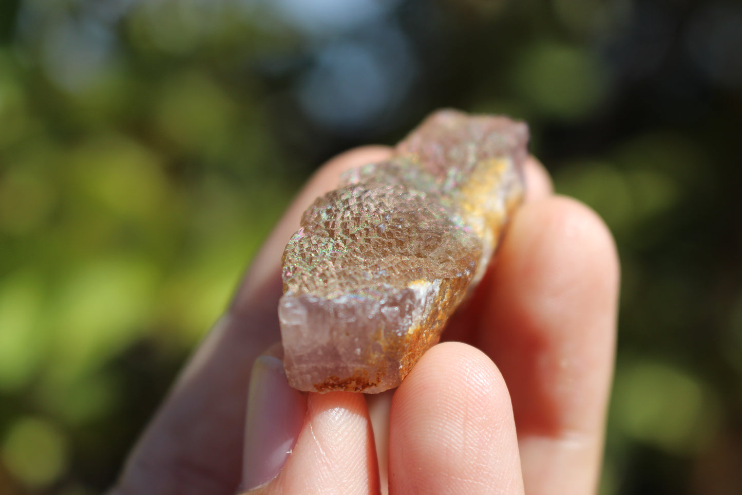 Purple Iridescent Fluorite