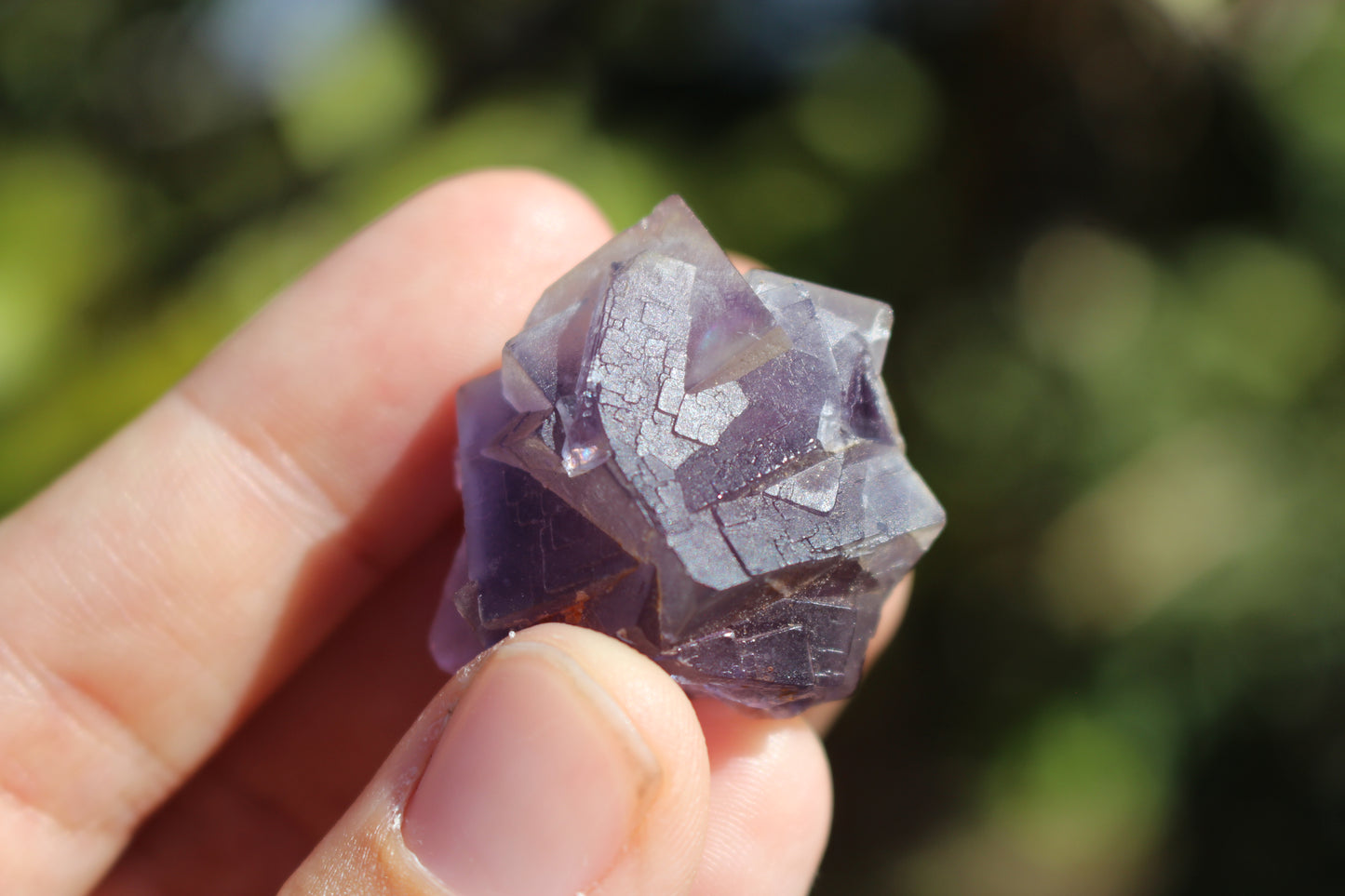 Purple Fluorite