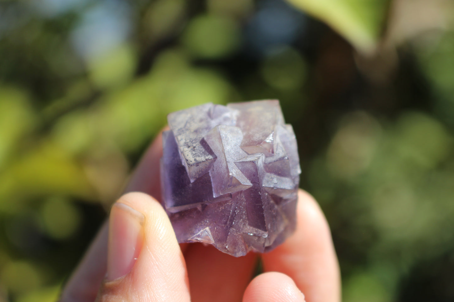 Purple Fluorite