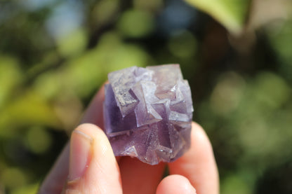 Purple Fluorite