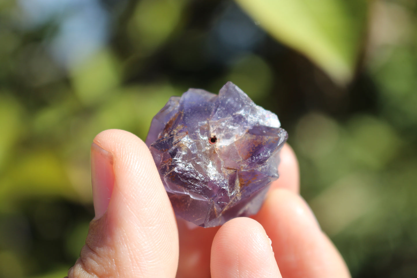 Purple Fluorite