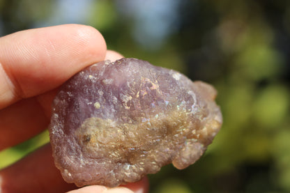 Purple Iridescent Fluorite Flouter