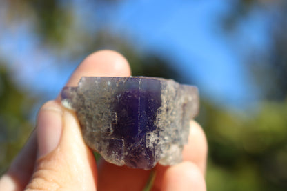 Purple Phantom in Green Fluorite, Highly UV Reactive