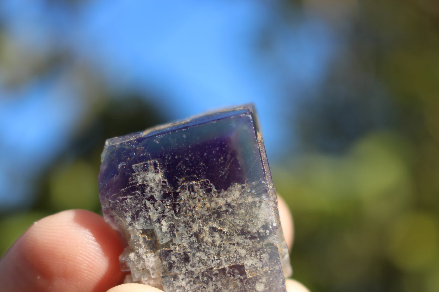 Purple Phantom in Green Fluorite, Highly UV Reactive