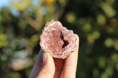 UV Reactive Calcite in Pink Amethyst Geode