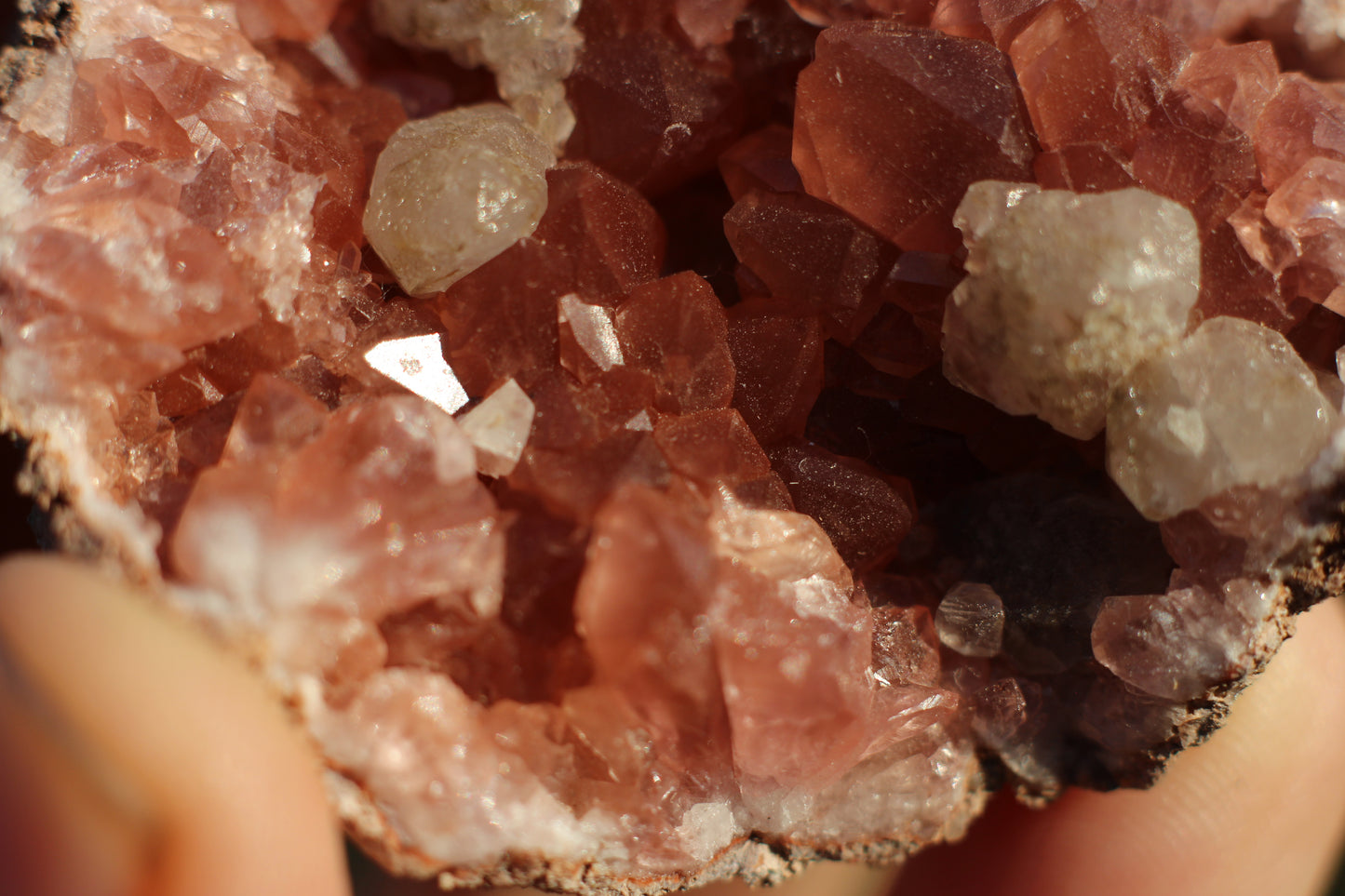 UV Reactive Calcite in Pink Amethyst Geode