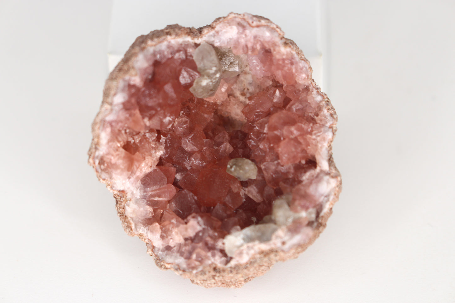 UV Reactive Calcite in Pink Amethyst Geode