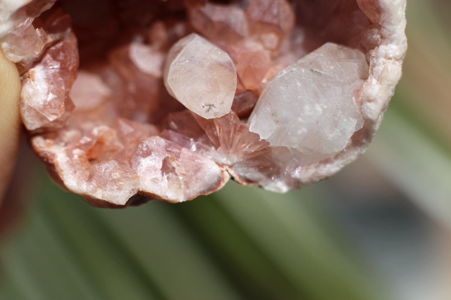 UV Reactive Calcite in Pink Amethyst Geode