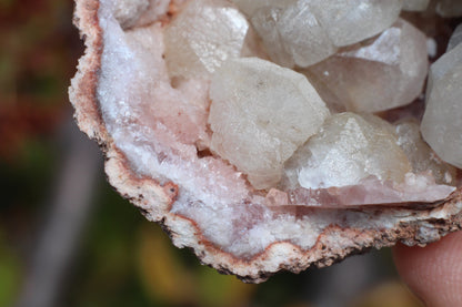 UV Reactive Calcite in Pink Amethyst Geode