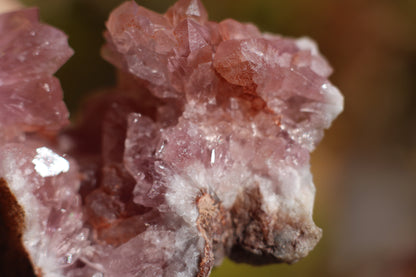 UV Reactive Calcite in Pink Amethyst Geode