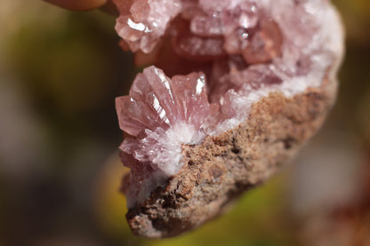 UV Reactive Calcite in Pink Amethyst Geode