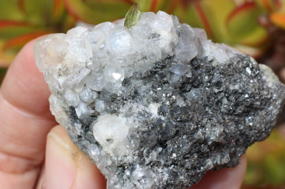 Green Sphene w/ Clear Calcite