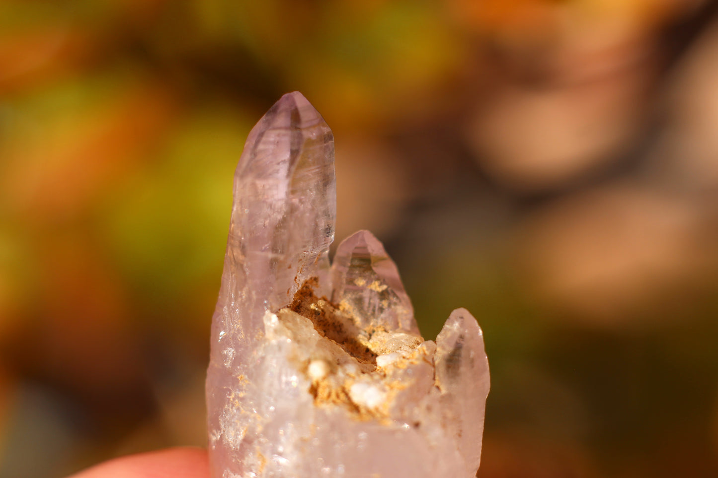 Vera Cruz Amethyst