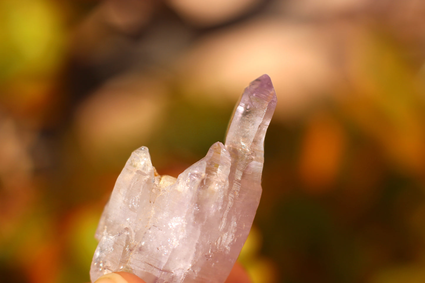 Vera Cruz Amethyst