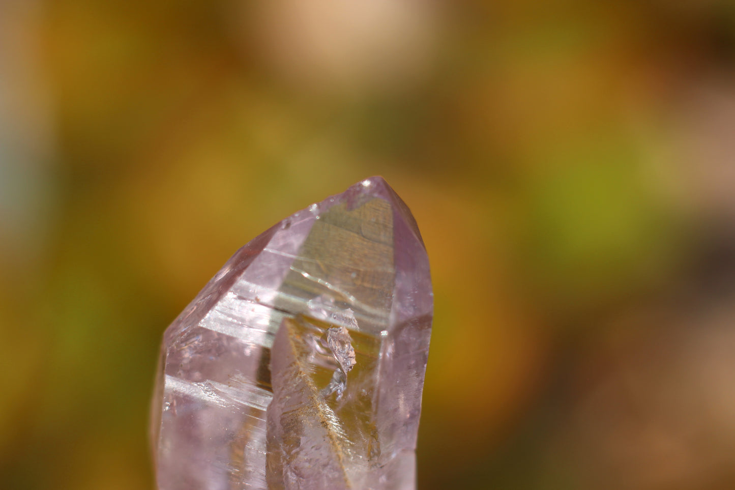 Vera Cruz Amethyst