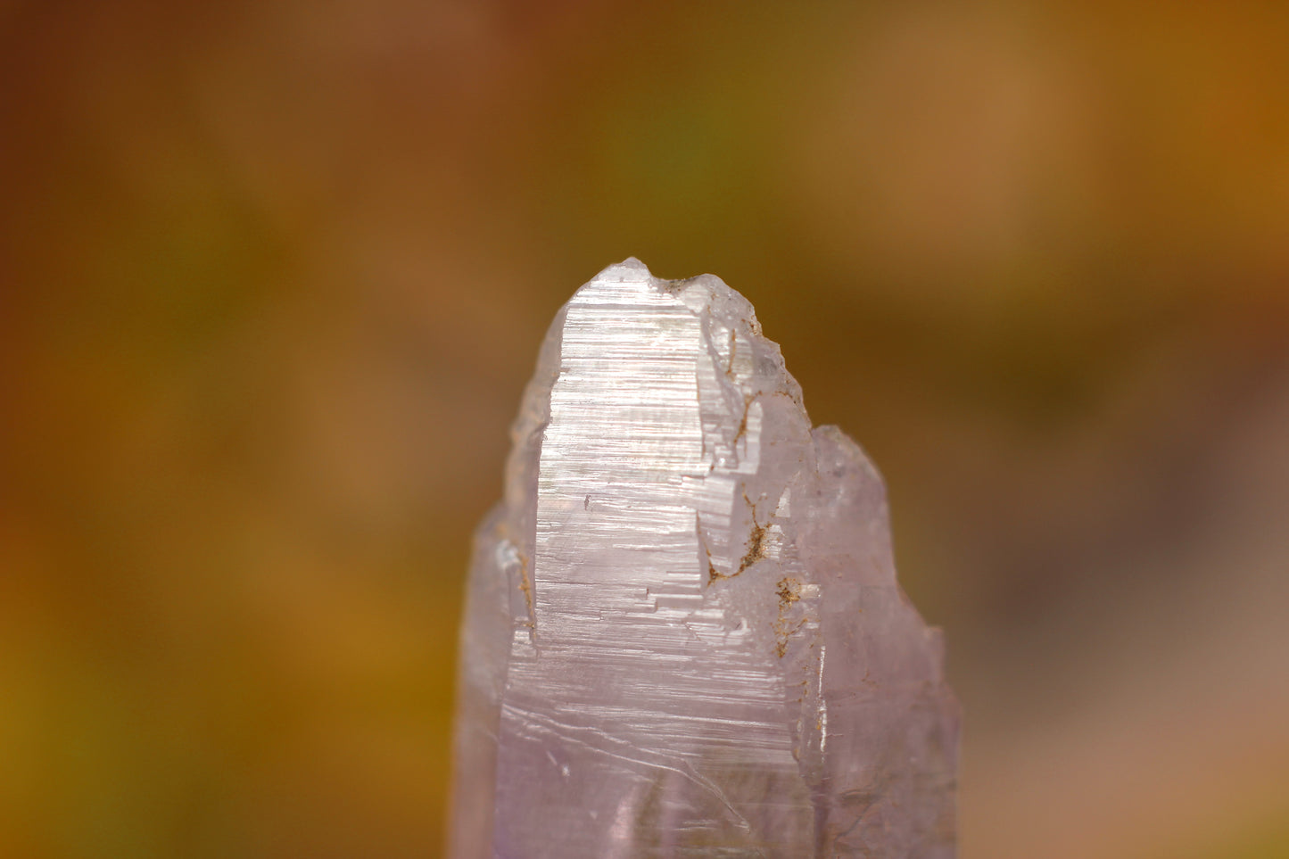 Vera Cruz Amethyst