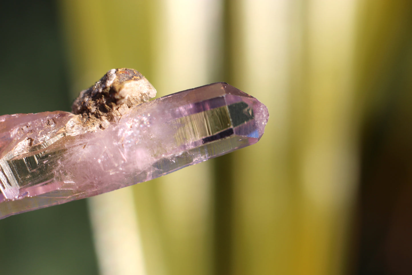 Vera Cruz Amethyst