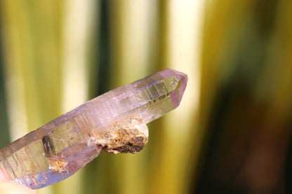 Vera Cruz Amethyst