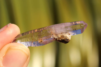 Vera Cruz Amethyst