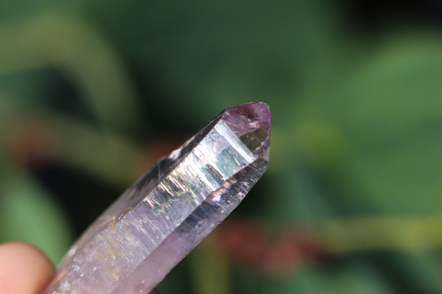 Vera Cruz Amethyst