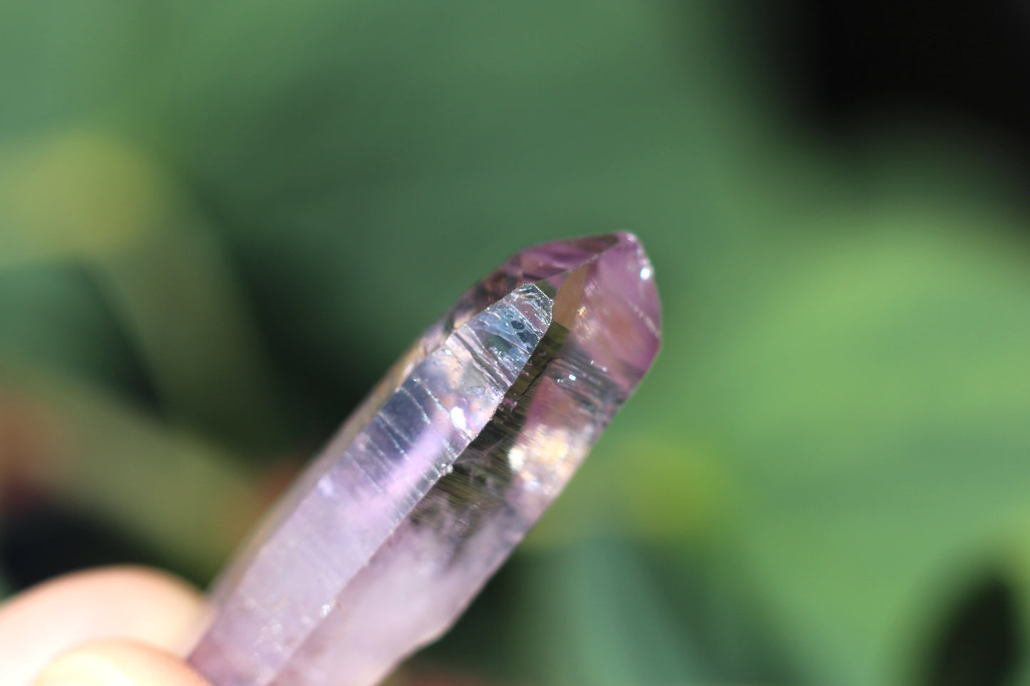 Vera Cruz Amethyst