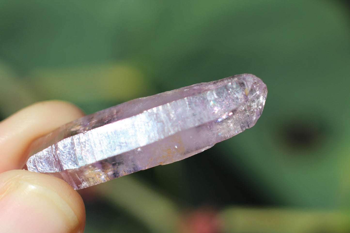 Vera Cruz Amethyst